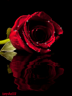 Imagenes de rosas rojas con bordes brillantes